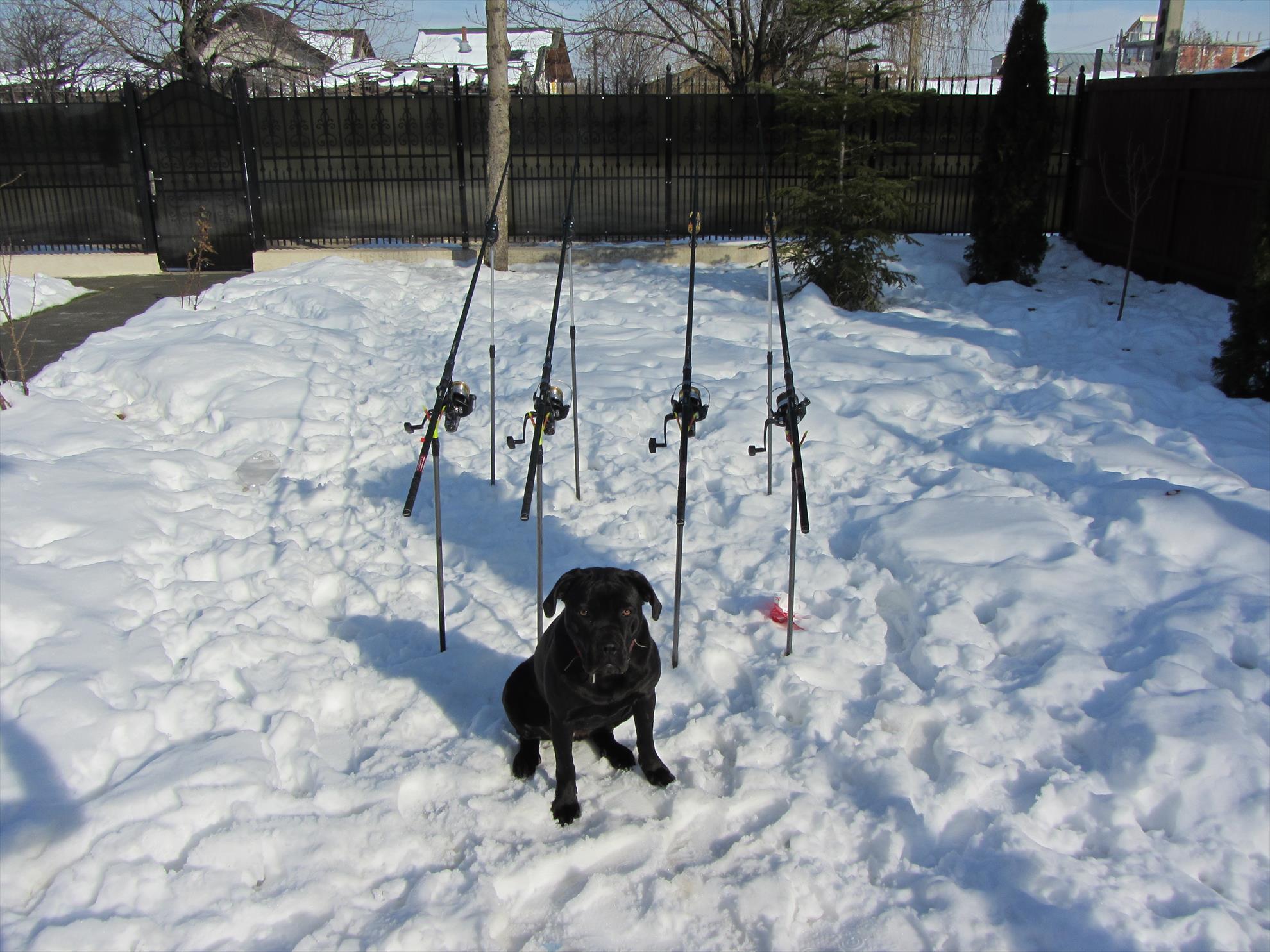 primavara?? - img2170.JPG